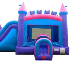 IMG 9816 1763678315 DREAM CASTLE BOUNCE HOUSE W/ SLIDE