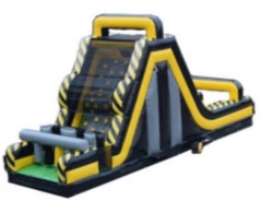 IMG 9916 1764119749 19 FT TALL TOWER OF TRIUMPH SLIDE