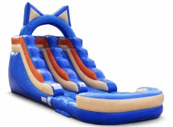 12 ft SPEEDY PAWS SLIDE