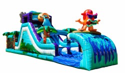 TOVI'S OBSTACLE COURSE Dry/Wet